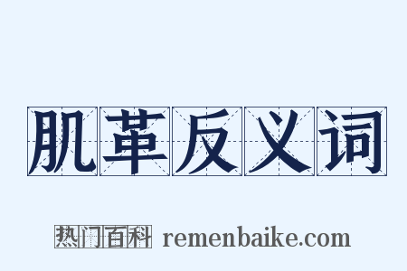 肌革反义词是什么意思的图片